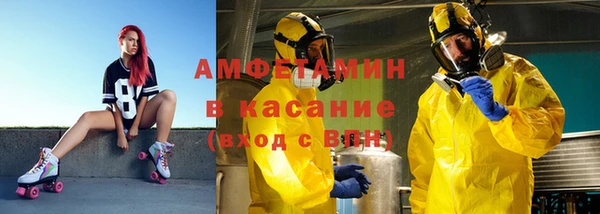 индика Бородино