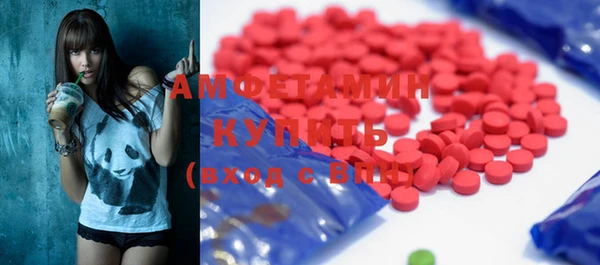 индика Бородино