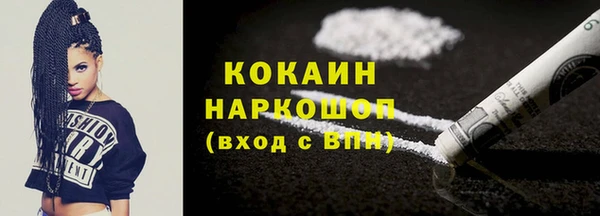 индика Бородино
