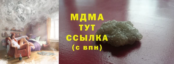 индика Бородино