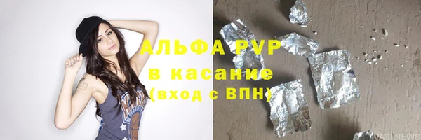 индика Бородино