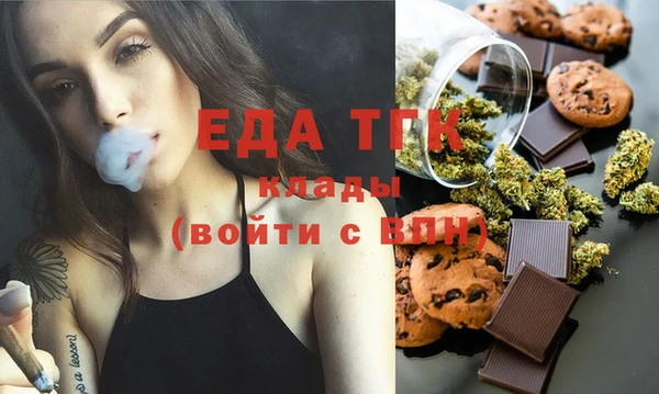 индика Бородино