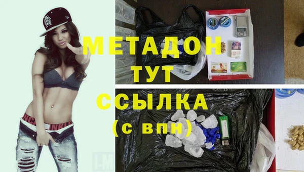 индика Бородино