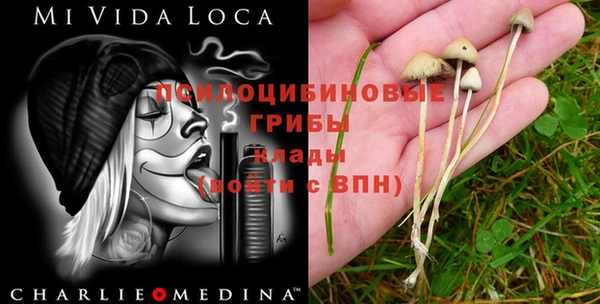 ALPHA PVP Бронницы