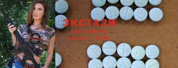 индика Бородино