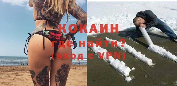 индика Бородино