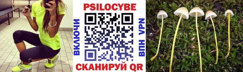 Галлюциногенные грибы Psilocybine cubensis  Верхотурье 